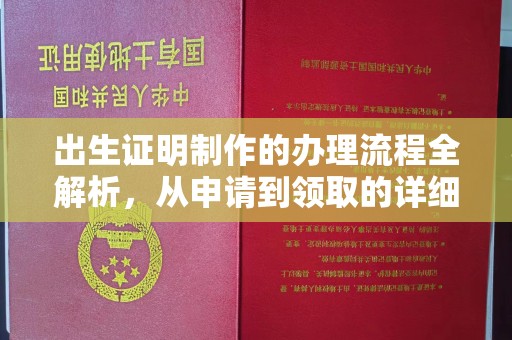 芙蓉出生证明制作的办理流程全解析，从申请到领取的详细指南